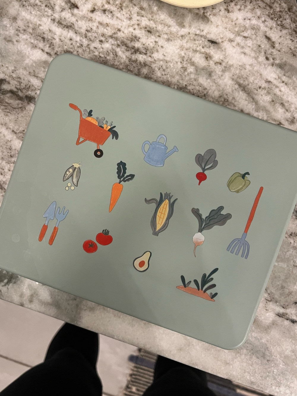 Austin Baby Co Silicone Bento Box